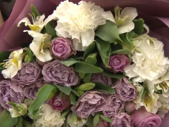 ����������� ����������� ���������� ������ ������ 2024