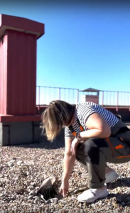 ������ ������� �������� �������� � �������