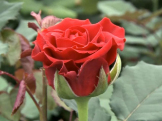 ������������ ����� ���������� �������������� ������ ������ ���� ��������