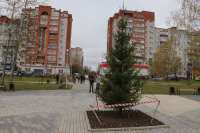 ����� ������������ ������� �������� ���, ������ � ������