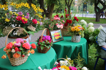 ������ � ����� 2024