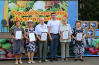 ���������� ���������� �������� ������� ����������