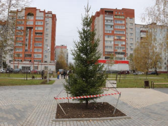 ������������ ���������� ������ "����������� �������" �� ���������