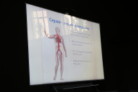 � ������ ������ ������� ��������� �������