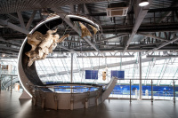 58 ��� ����������� ����� ������������