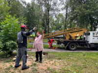 � ������� � ������ �����������