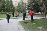 В ТОС «Гагаринская» прошёл очередной субботник В ТОС «Гагаринская» прошёл очередной субботник