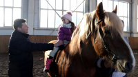 Сбылась новогодняя мечта Сбылась новогодняя мечта