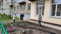 Субботник в ТОС «Площадь Московская» Субботник в ТОС «Площадь Московская»