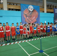 10 лет исполнилось спортивному клубу «Витязь» 10 лет исполнилось спортивному клубу «Витязь»