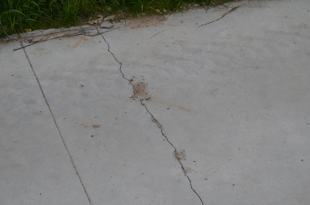 DSC_0080.JPG DSC_0080.JPG