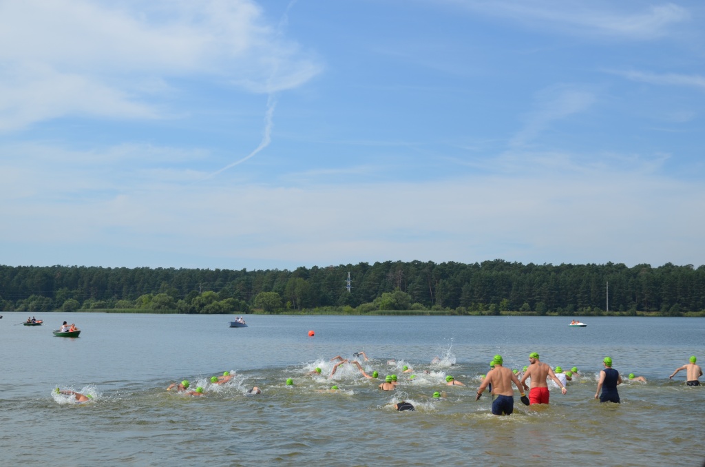 DSC_0118.JPG DSC_0118.JPG