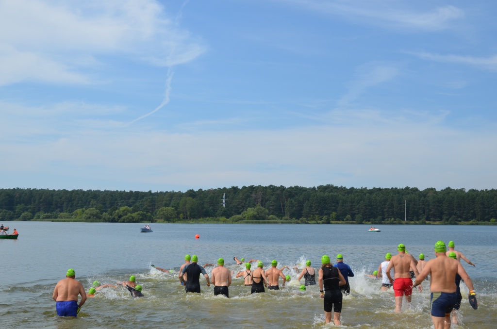 DSC_0116.JPG DSC_0116.JPG